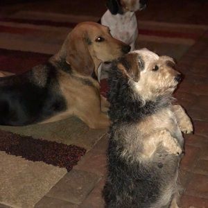 Meet your Posher, Nancy